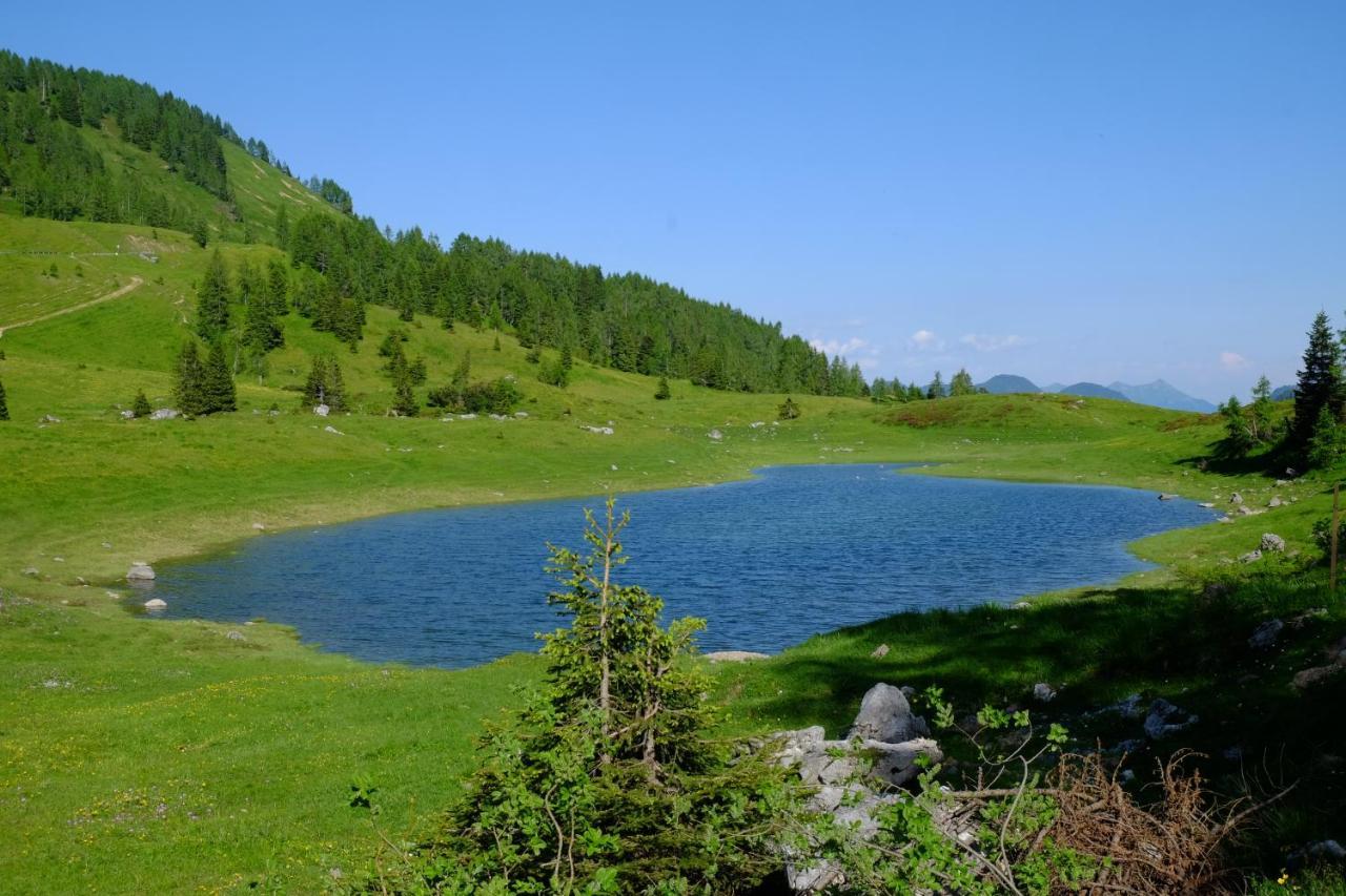 Casa Della Rosa Dolomites Experience Hotell Vigo di Cadore Exteriör bild